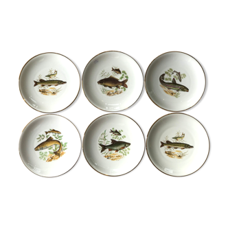 Assiettes porcelaine poisson