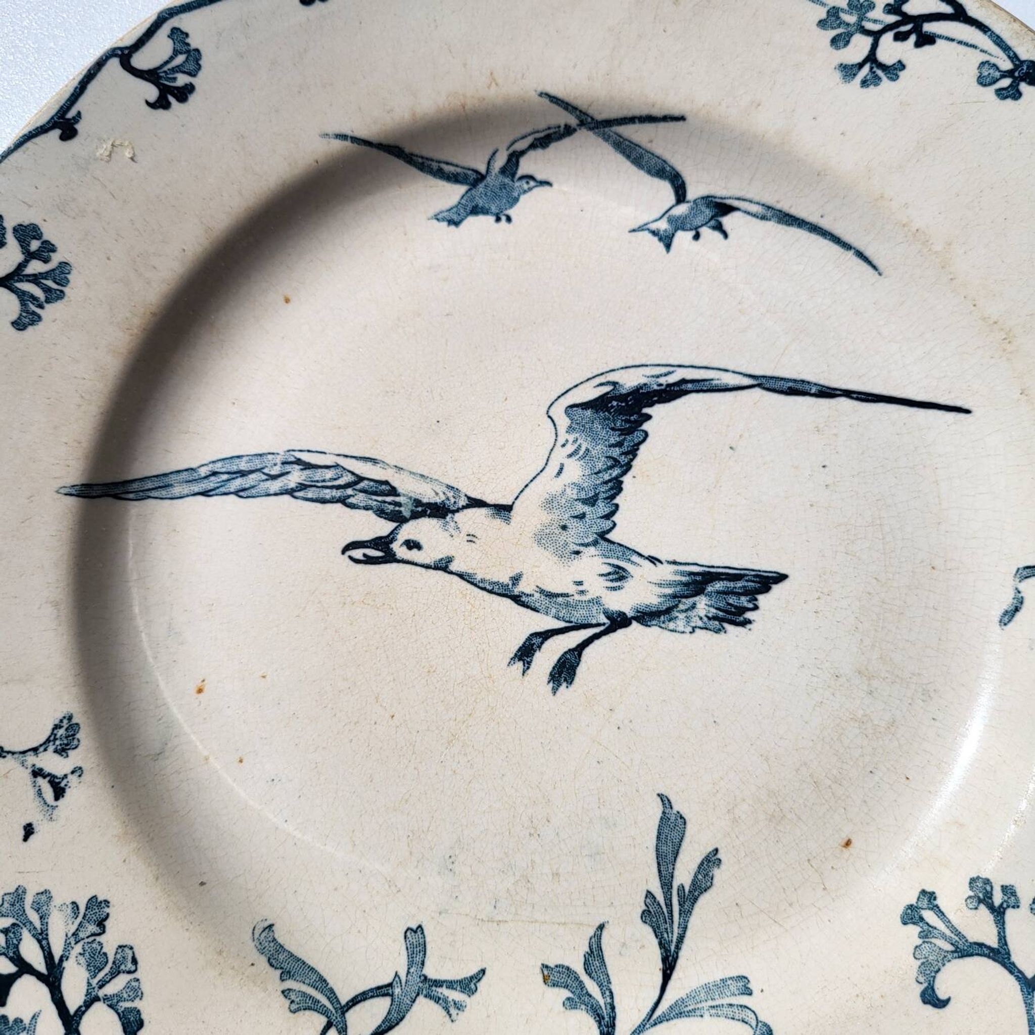 Plate Earth & Sea Seagulls & Seashells