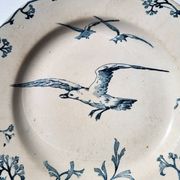 Plate Earth & Sea Seagulls & Seashells