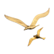 Set of two brass birds to hang