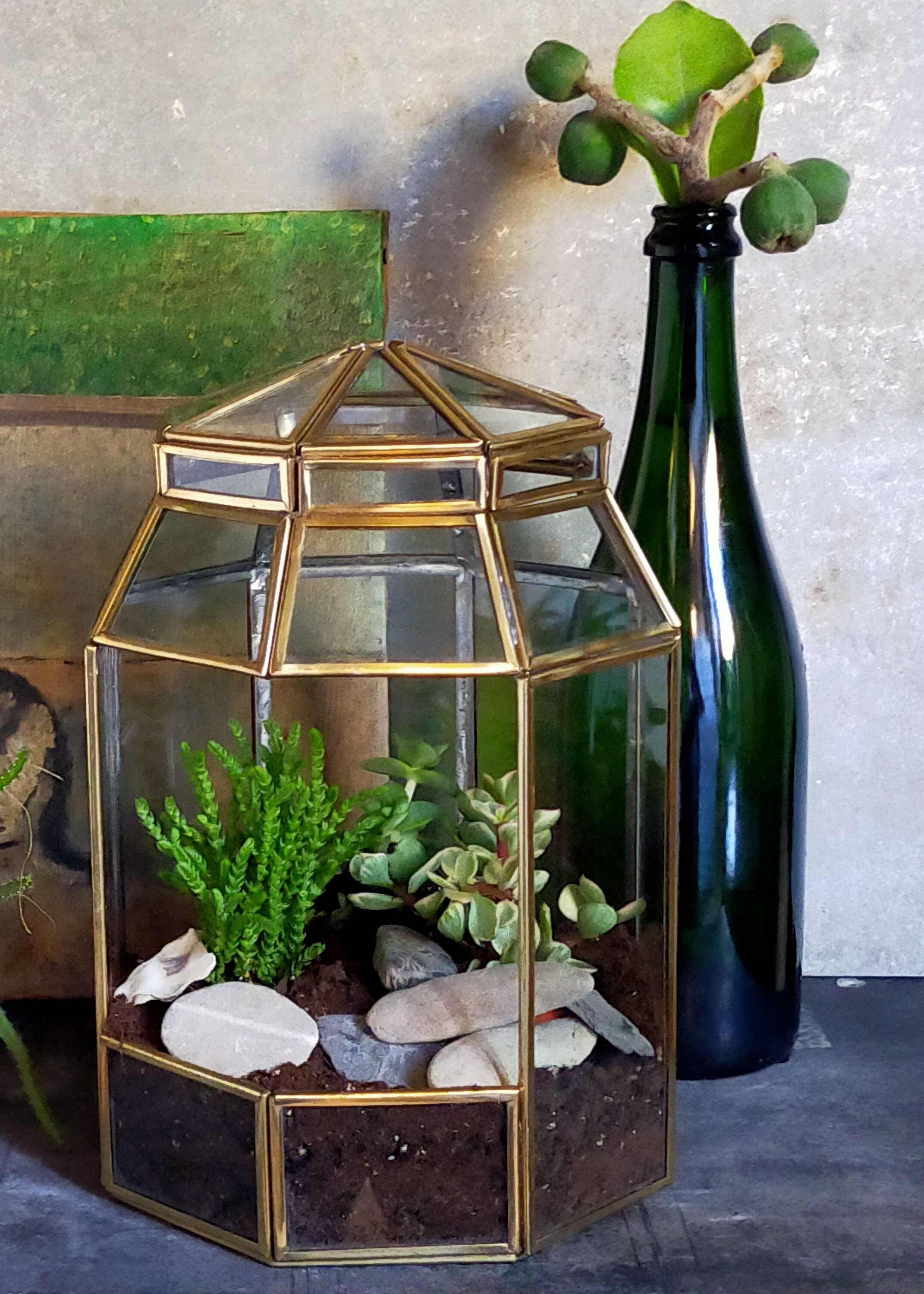 Indoor greenhouse-terrarium in brass