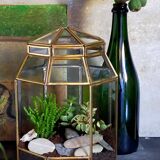 Indoor greenhouse-terrarium in brass