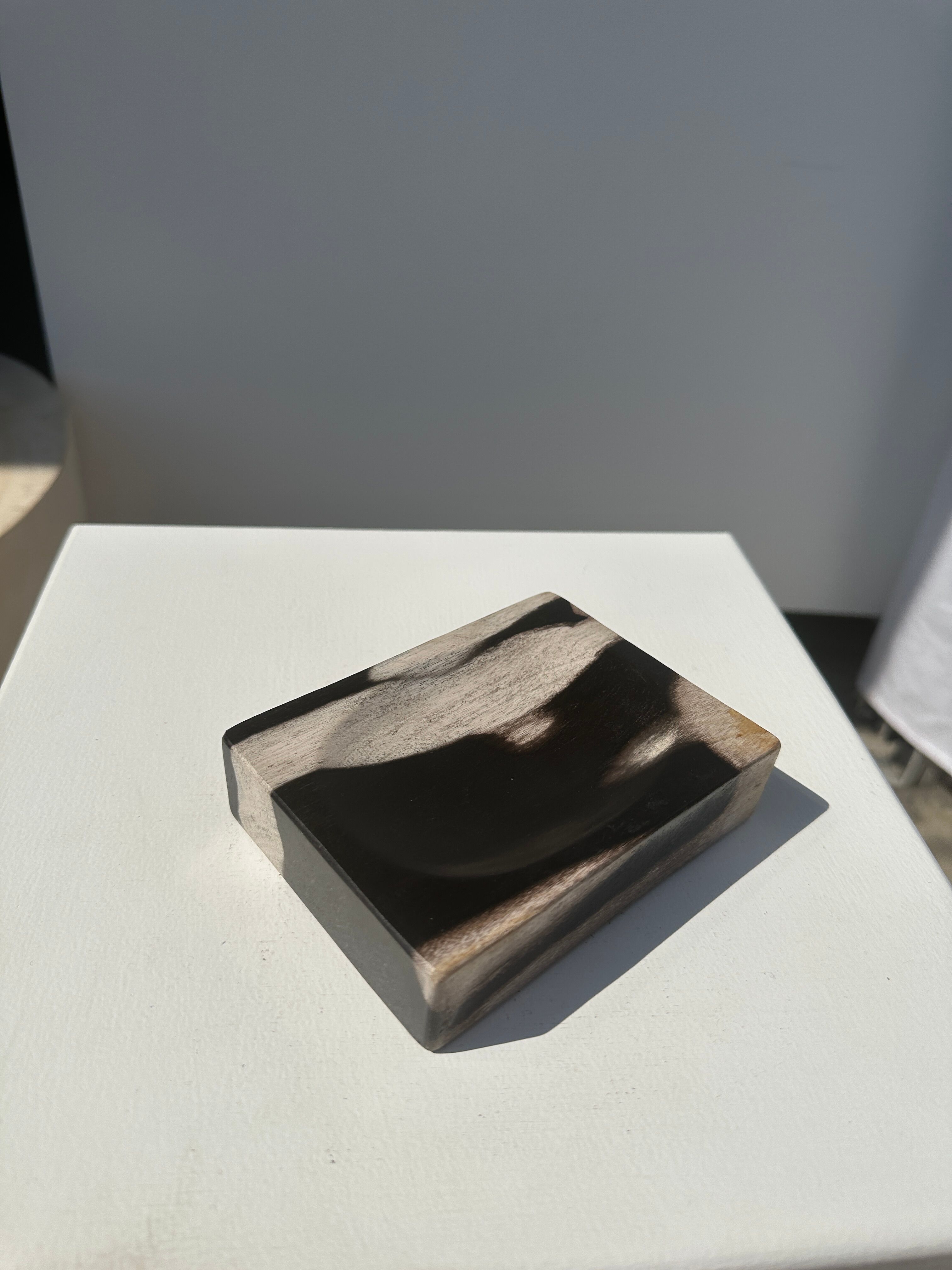 Symmetrical multicolored petrified wood soap dish