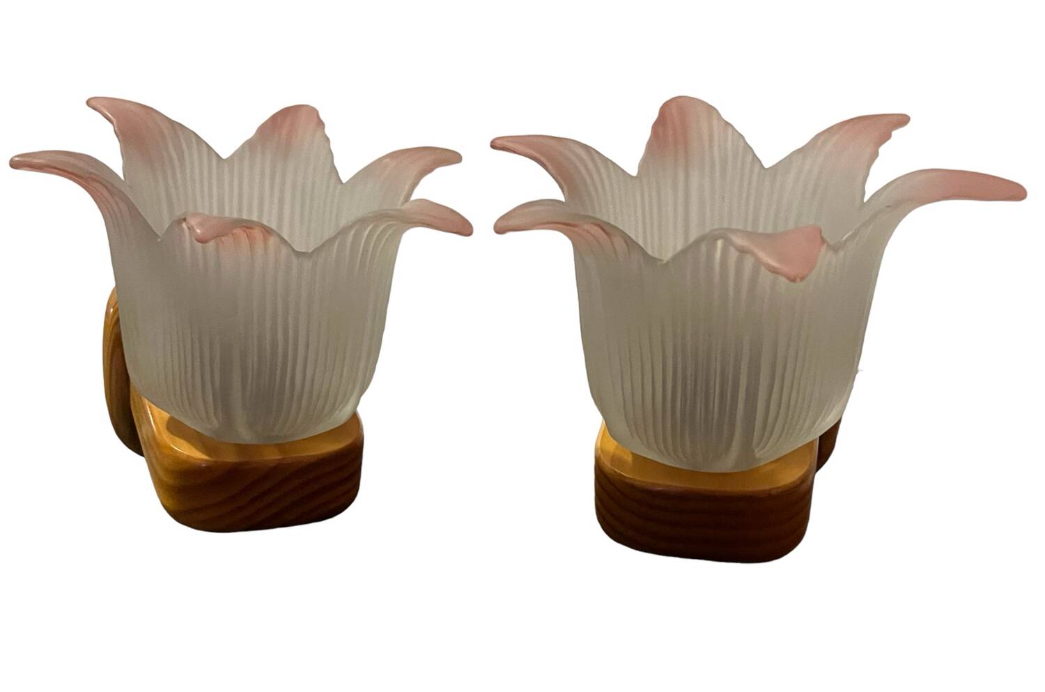 Pair of glass flower pine wall lights