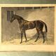 Lot of 2 English equestrian engravings framed late 19th century