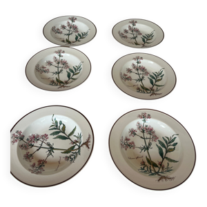 assiettes creuses