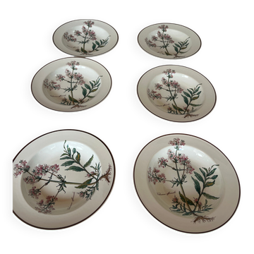 Deep plates