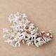 Imposing natural white coral, 70s