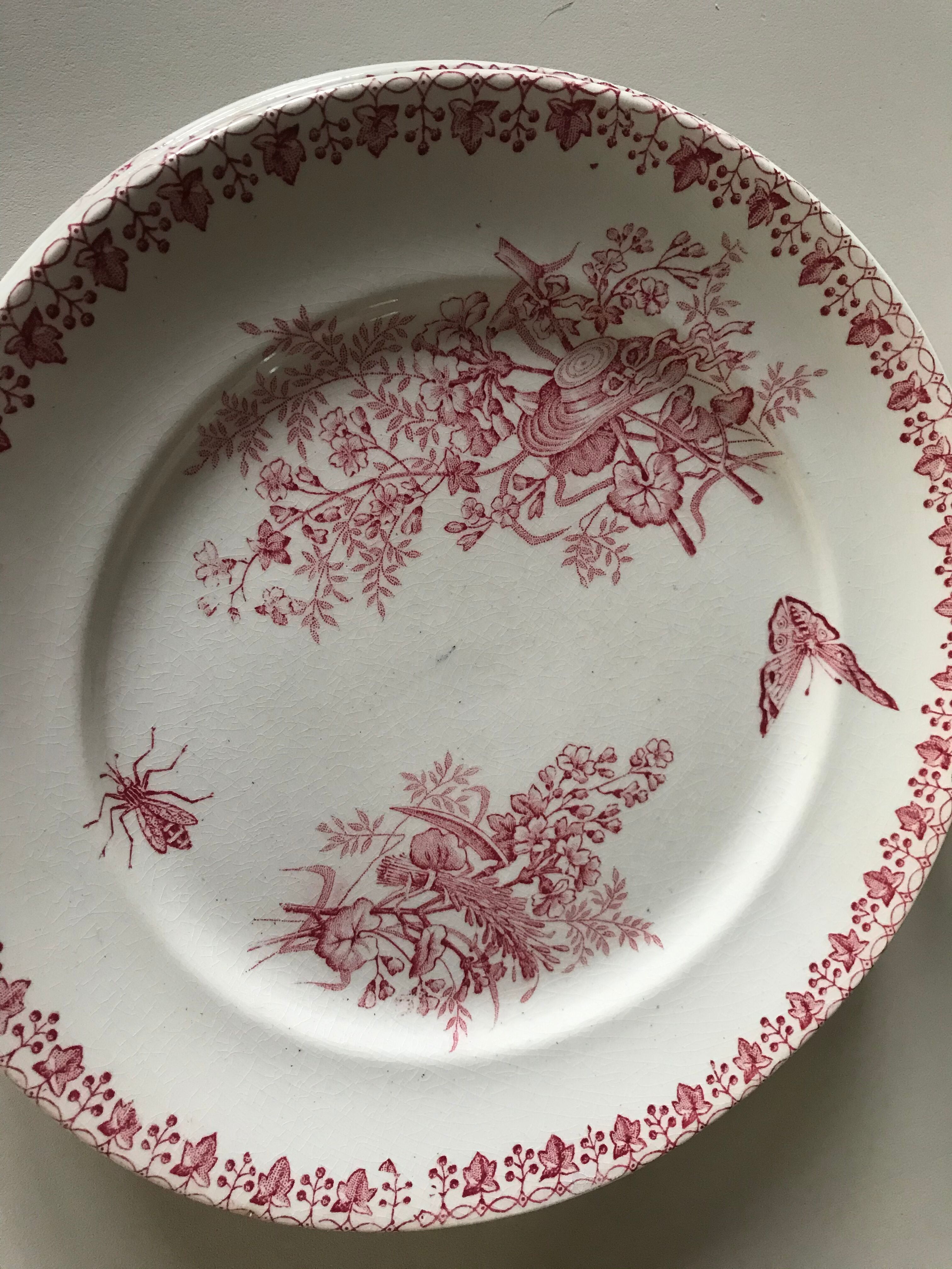 Lot of 9 plates iron earth circa 1900