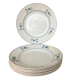 Set of 6 plates vintage niderviller model "blueberry"