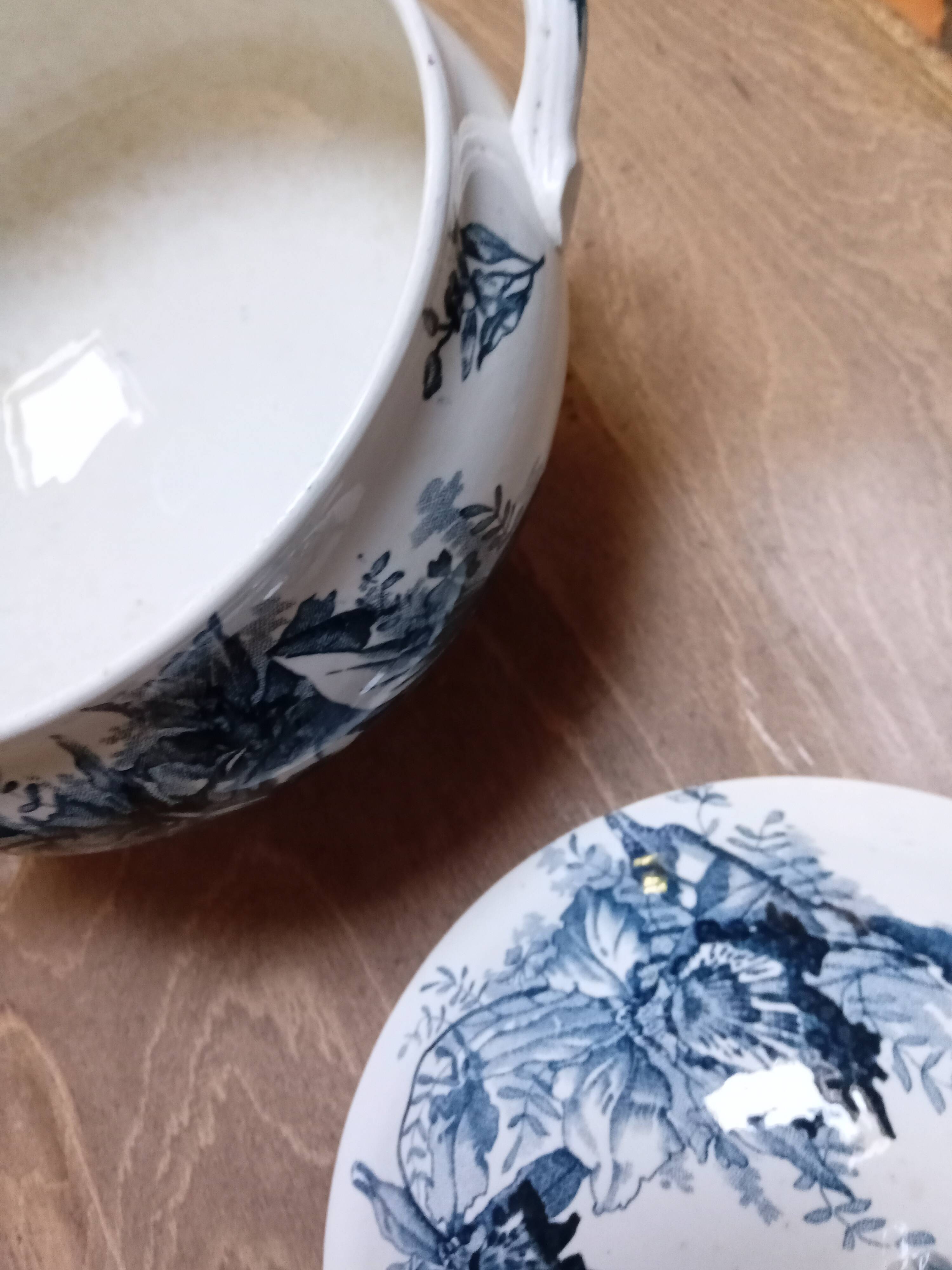 Tureen Iron Earth Orchids