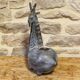 Zoomorphic glazed ceramic flower holder by Jean-Claude Raybaud