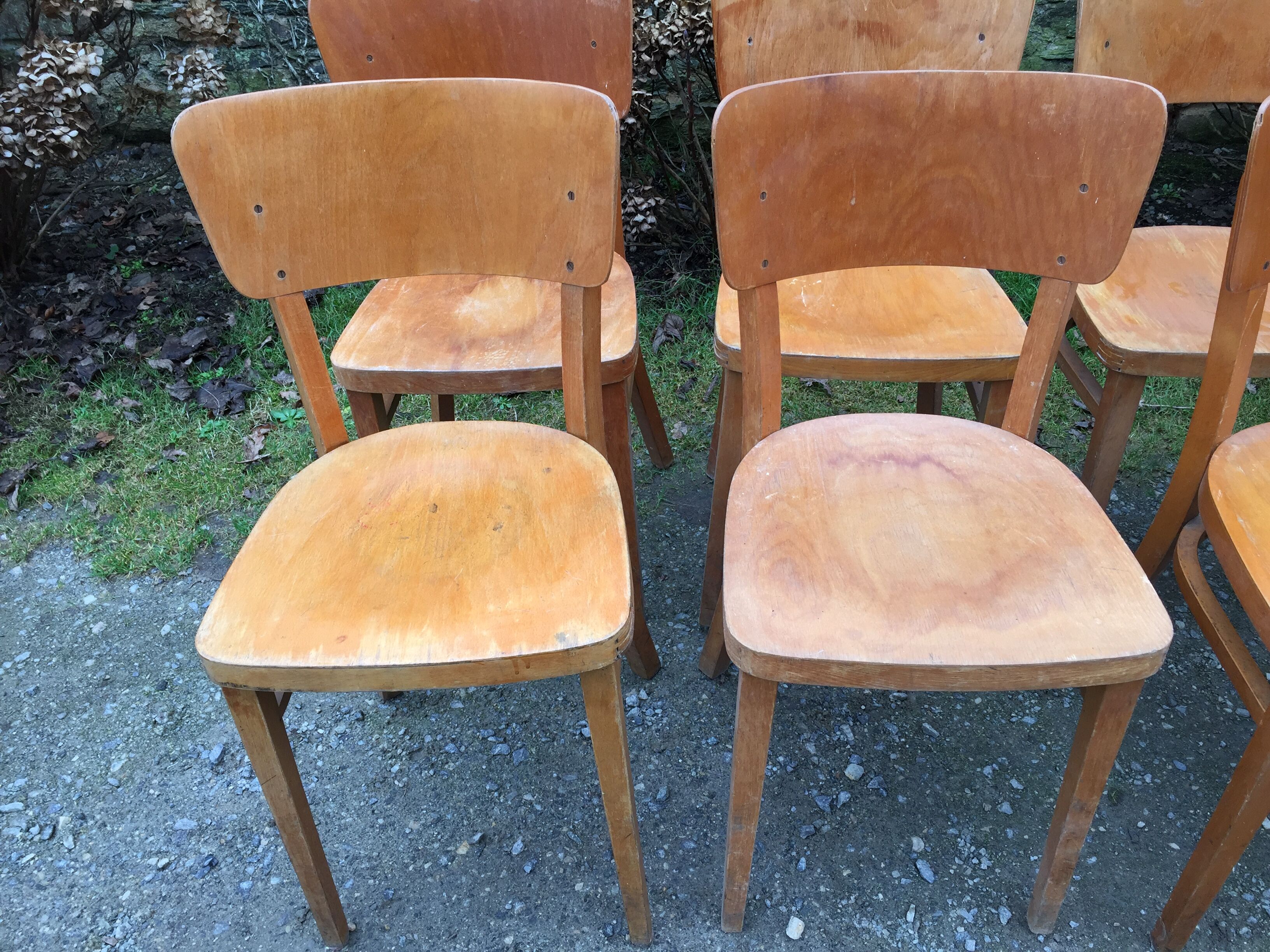 Vintage chairs stamped Thonet in curved beech wood and curved cp backrest.