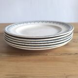 Set of 6 ironstone plates
