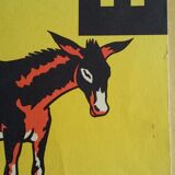 The donkey, reading picture