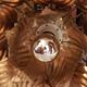Sconce metal golden leaves 70s