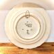Decorative plate delft - polychrome - holland