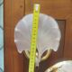 Rare set of wall sconces and shell ceiling light.