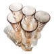 6 Rosaline champagne flutes