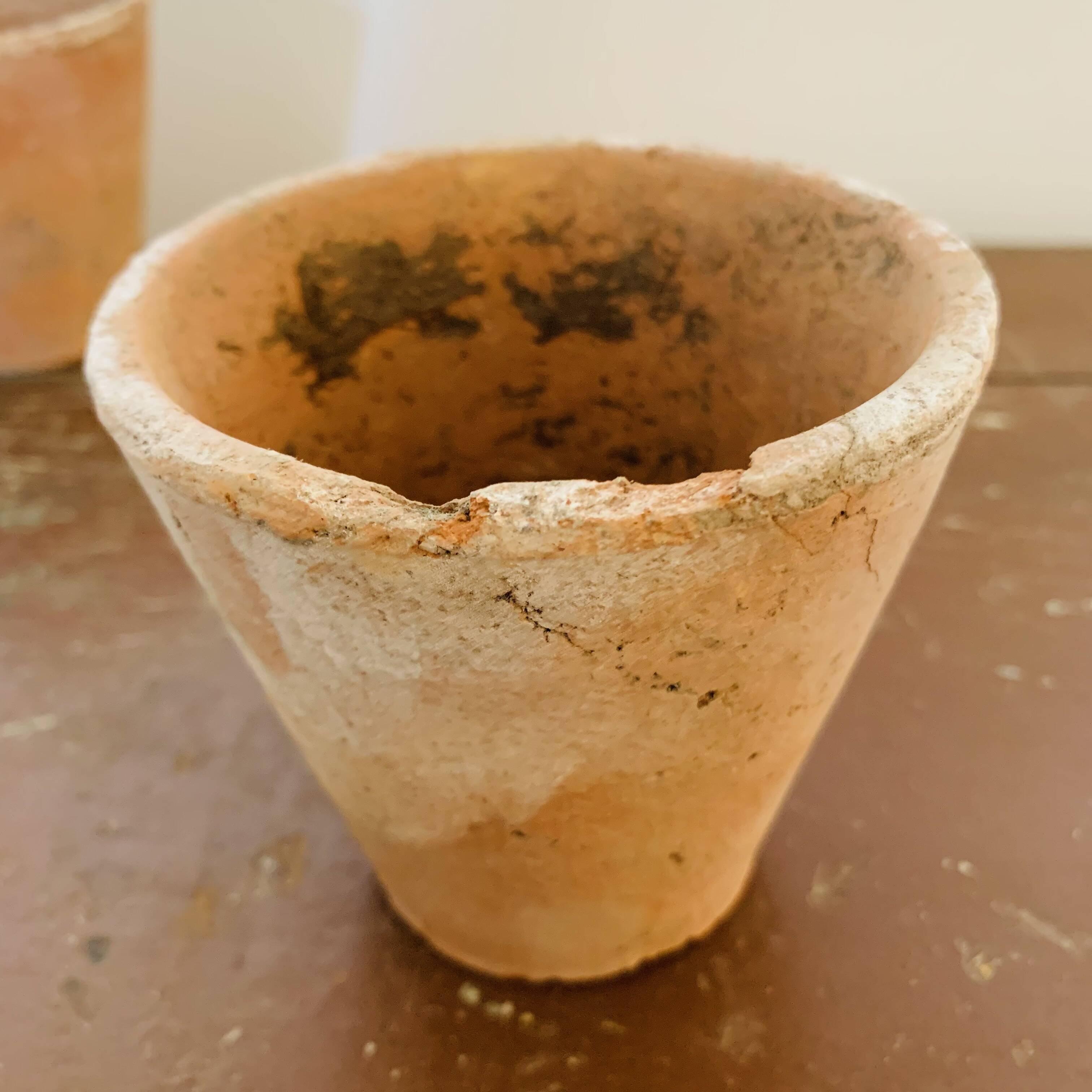 Lot of 10 terracotta pots circa 1930 graineterie