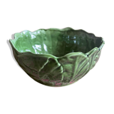 Cabbage leaf slurry