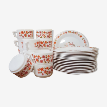 Assiettes et tasses en Arcopal