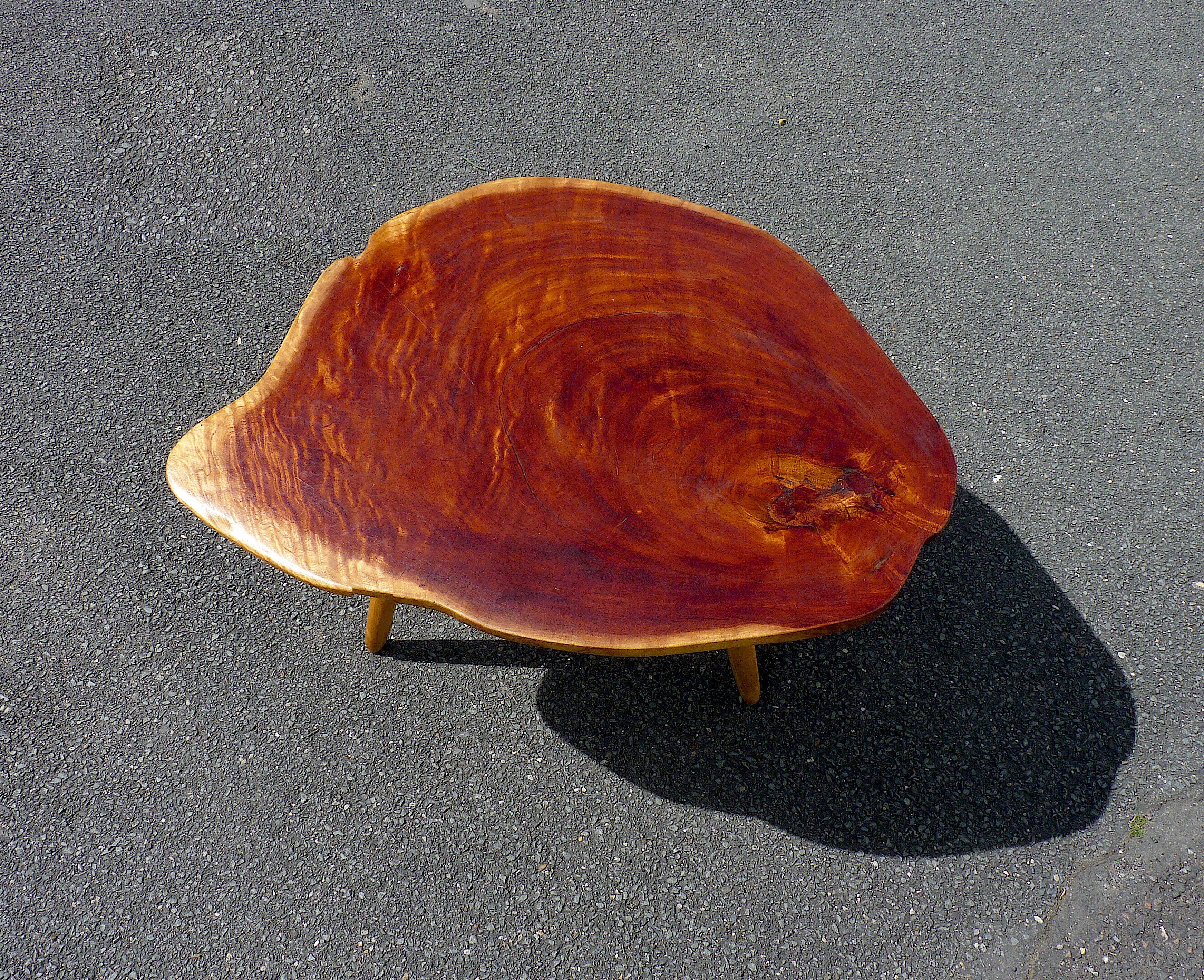 Neem wood butterfly wing coffee table