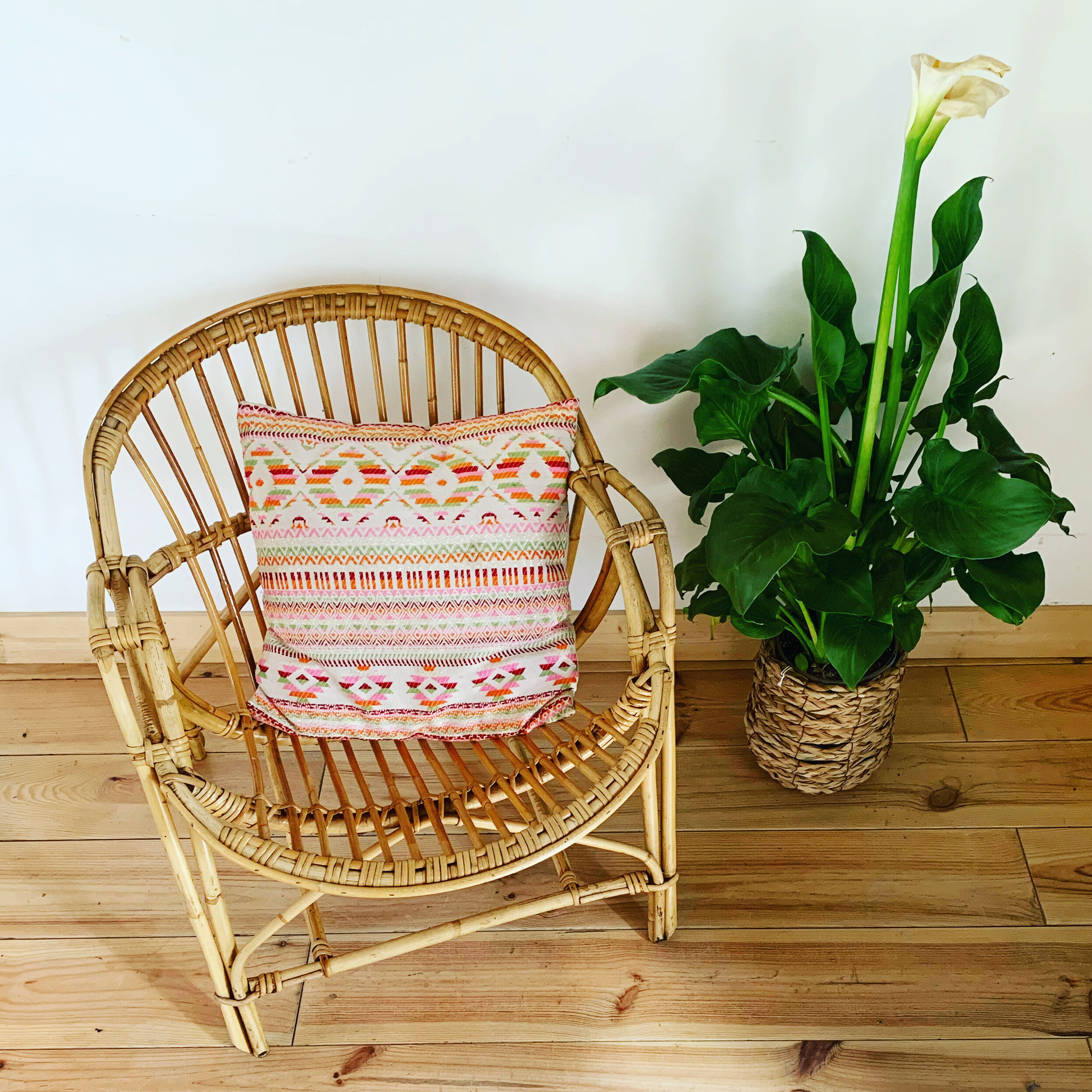 Shell armchair of the 50s in rattan
