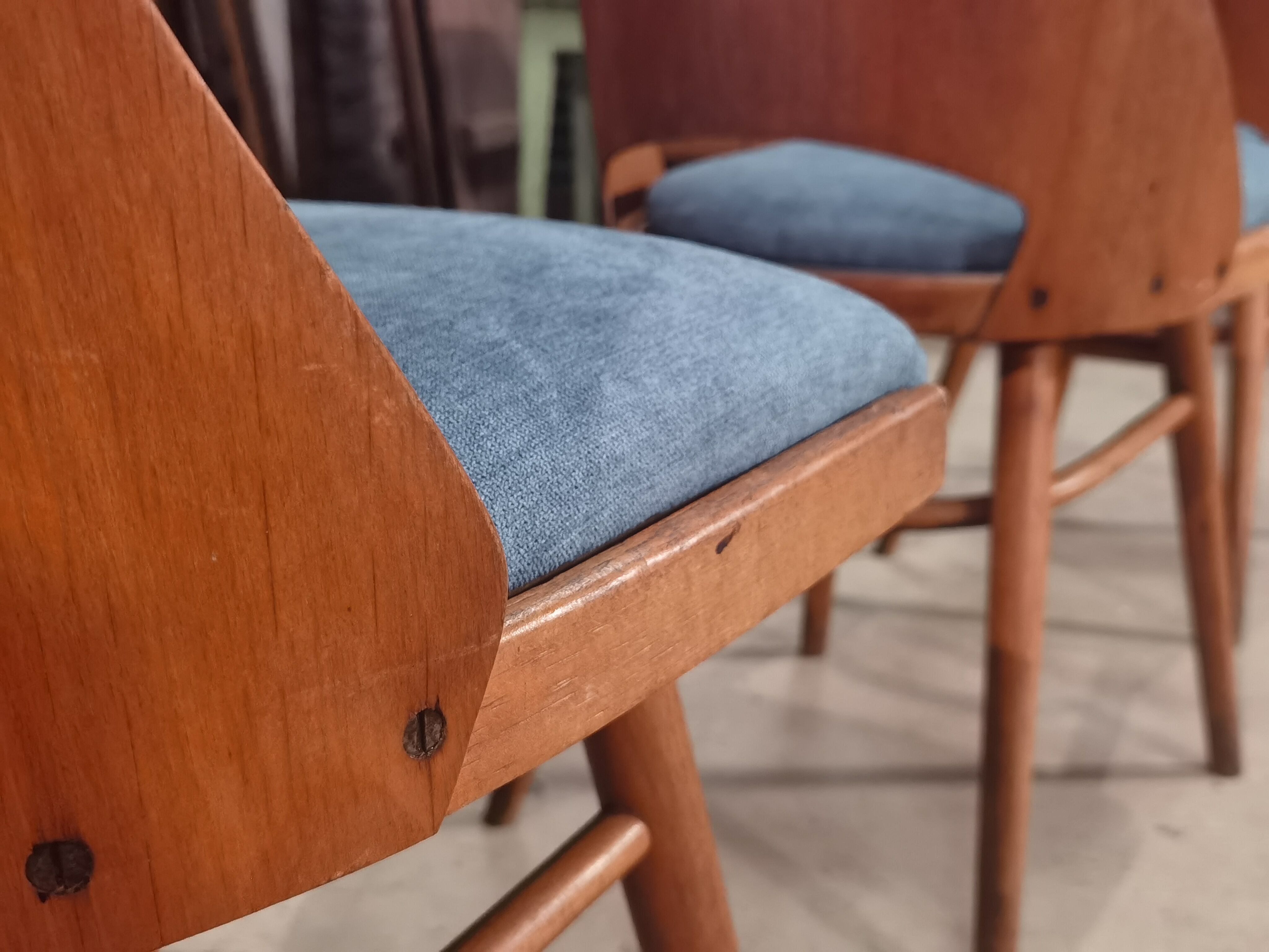 Suite of 4 chairs 515 Oswald Haerdtl's  for Thonet