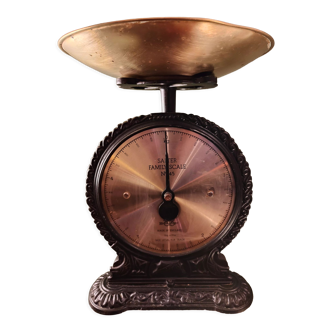 Old household scale "salter family scale n° 45"