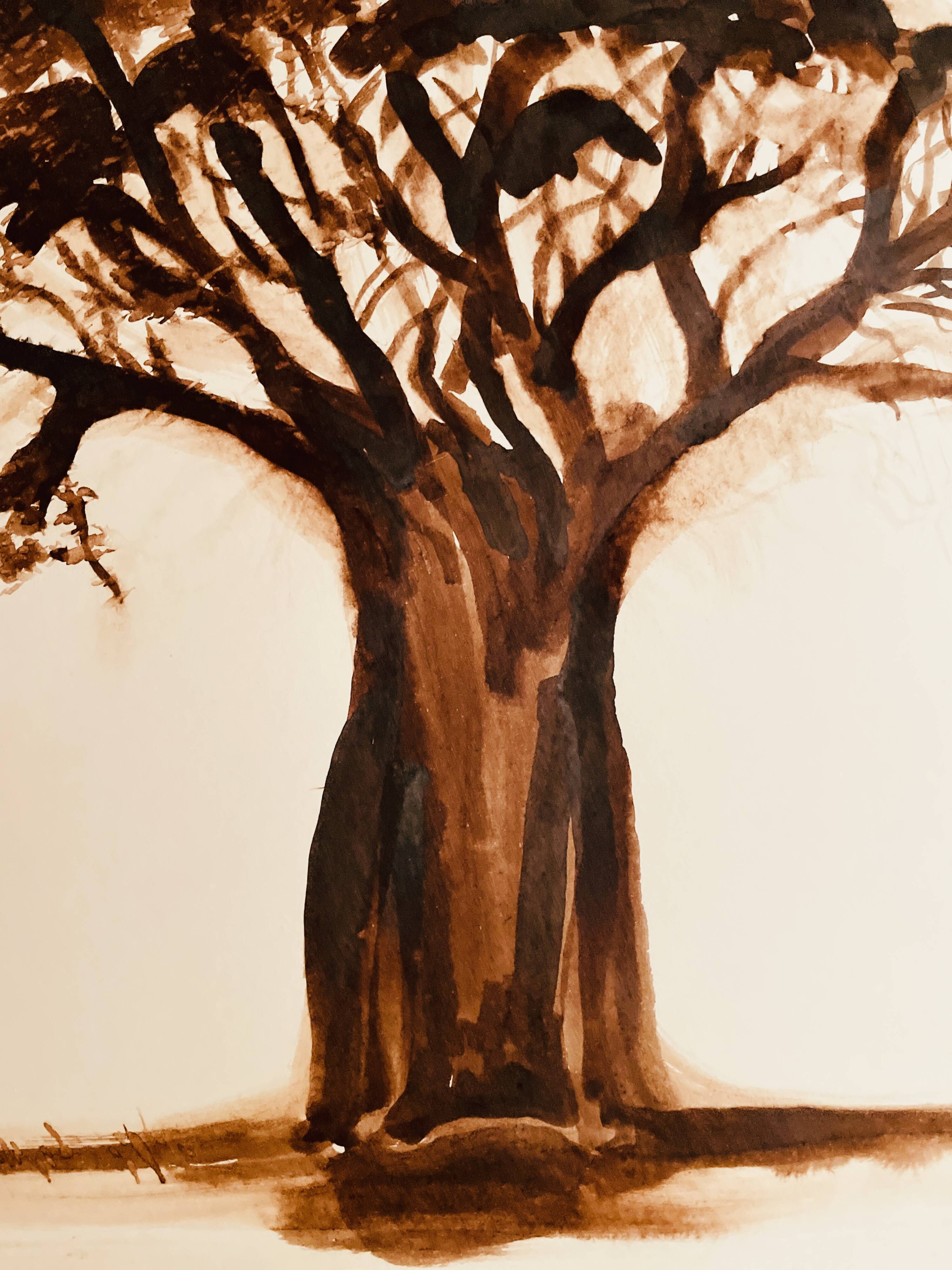 Signed monochrome watercolour painting of a baobab tree, South Africa.