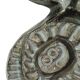 Flowers Artwork Bas Relief Paul Vermeire Perignem