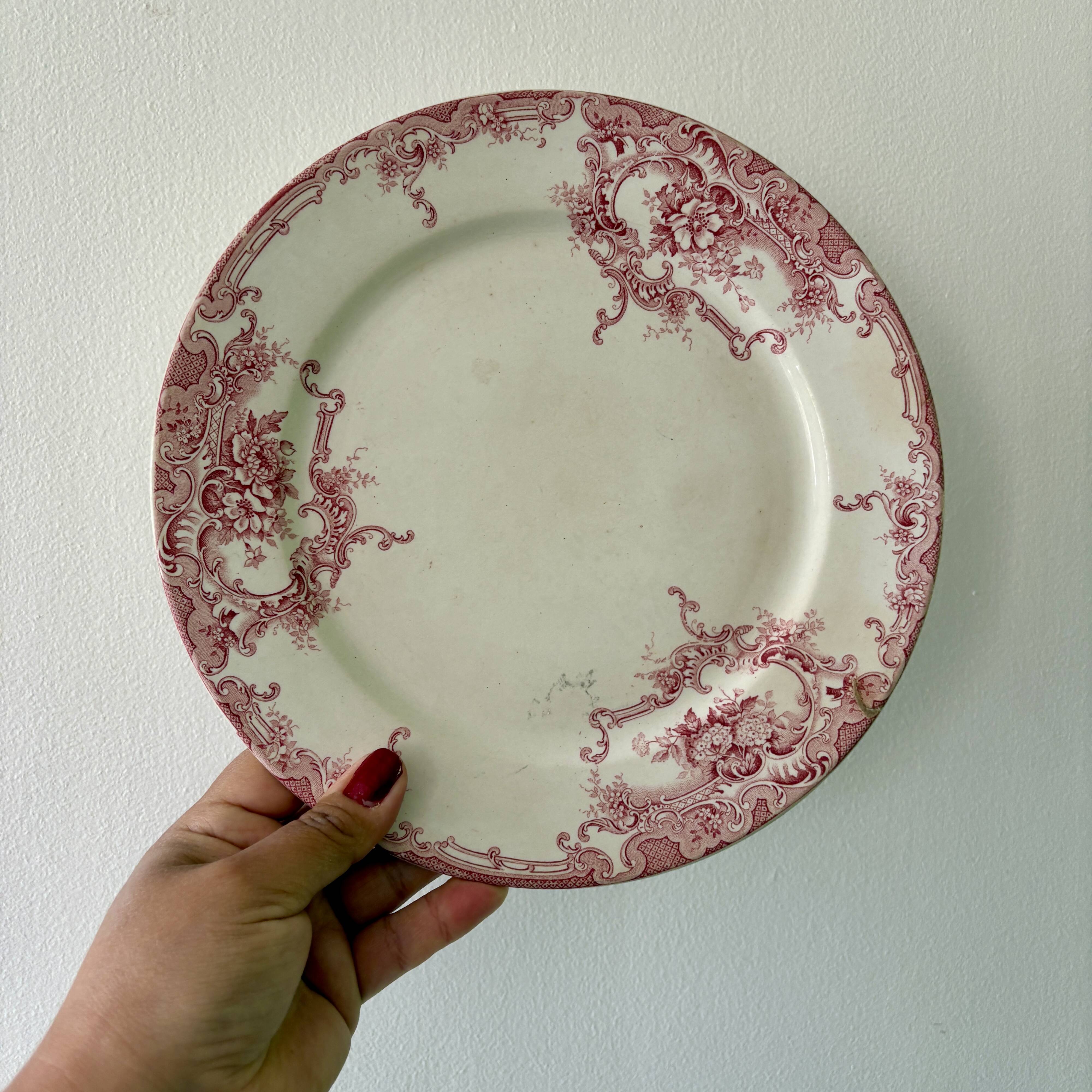 Lot de 10 assiettes plates anciennes en terre de fer dépareillées