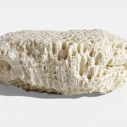 Sculptural White Coral Fossil, Organic Modern Decor from South Asia