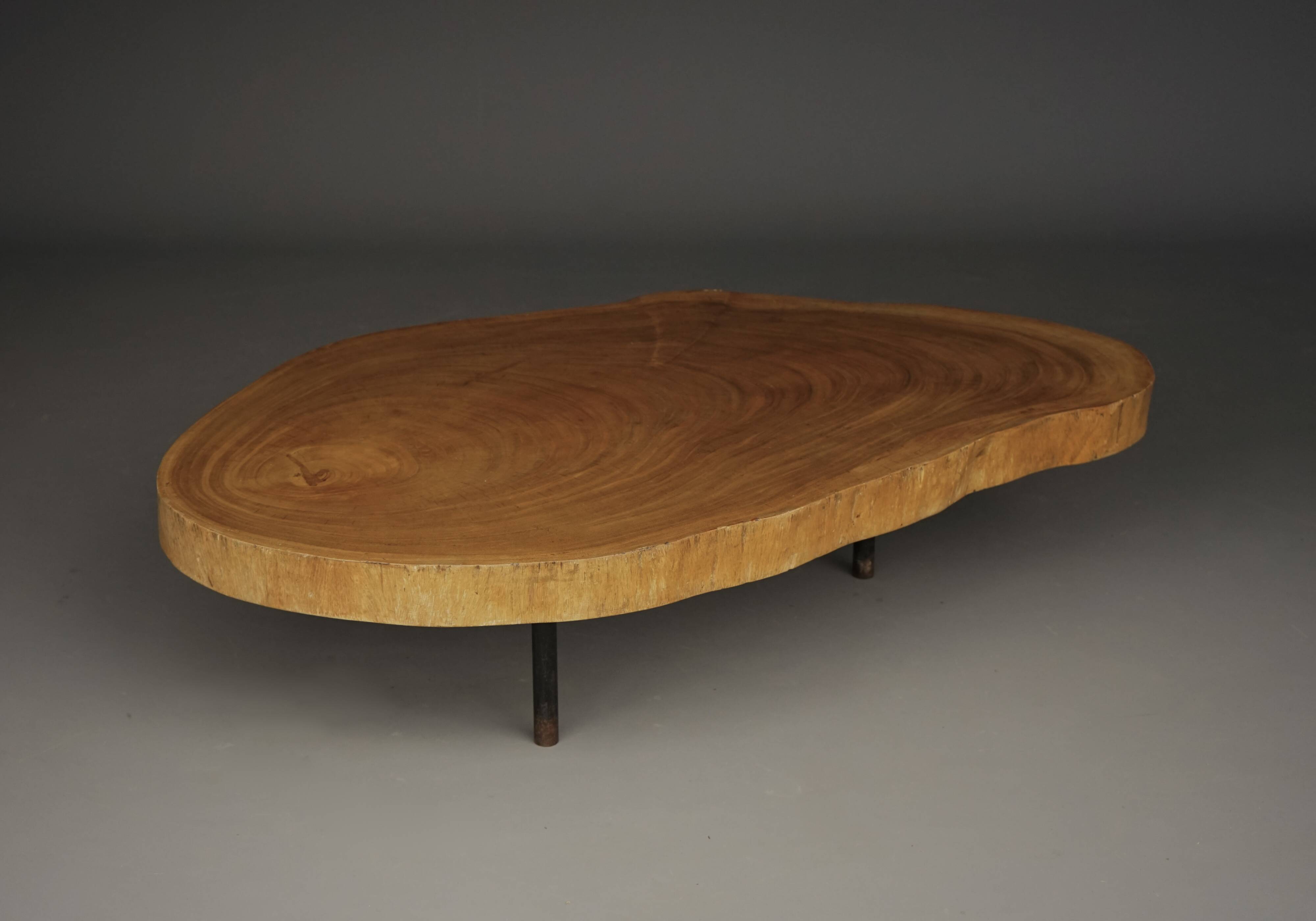 Table basse brutaliste en bois de tronc d'arbre, années 1960