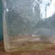 Bubble glass vase