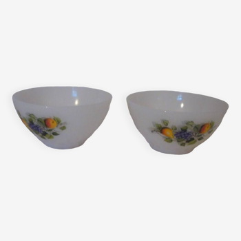 Arcopal bowl duo