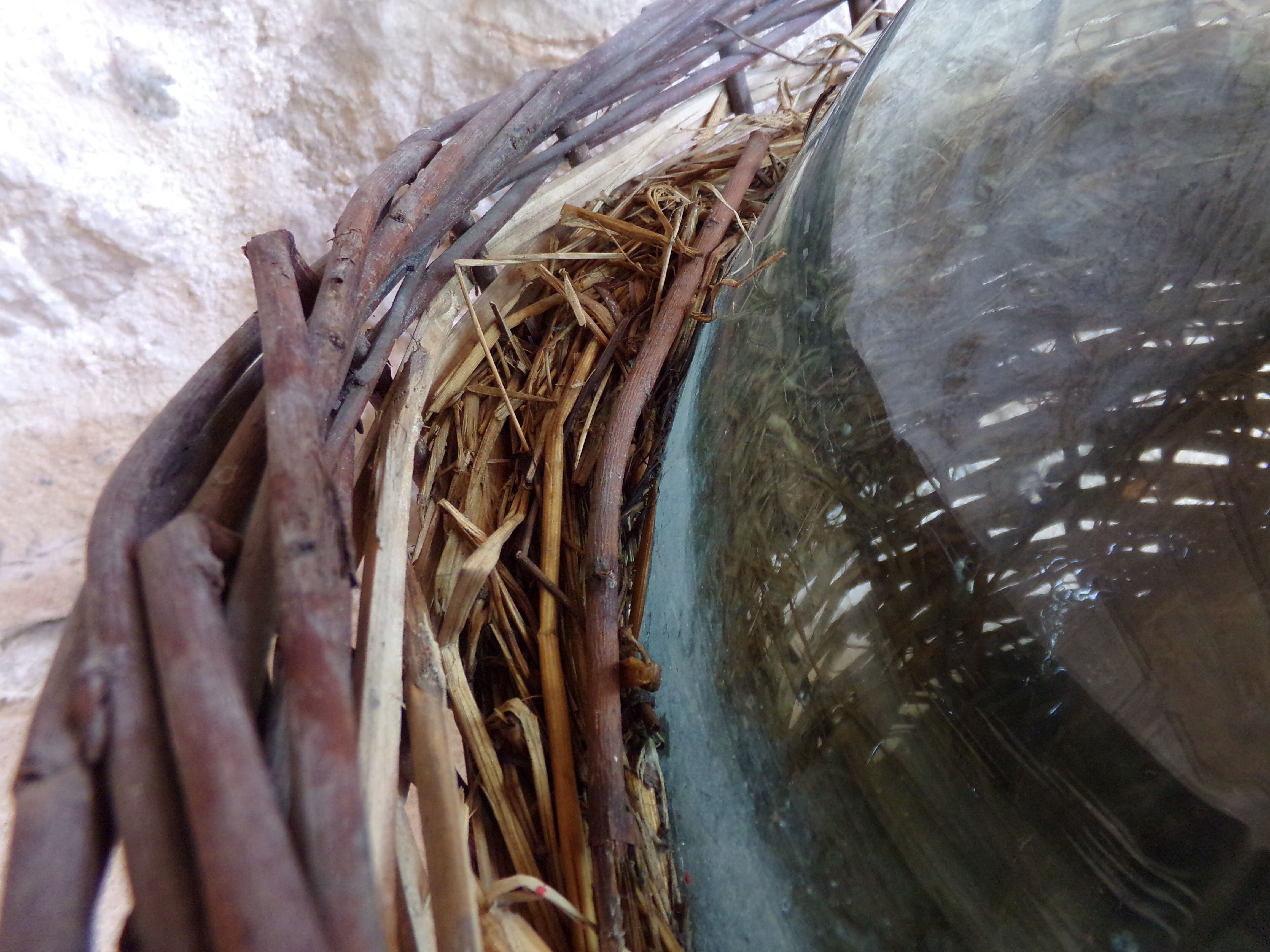 Dame-jeanne in her basket