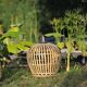 birdcage