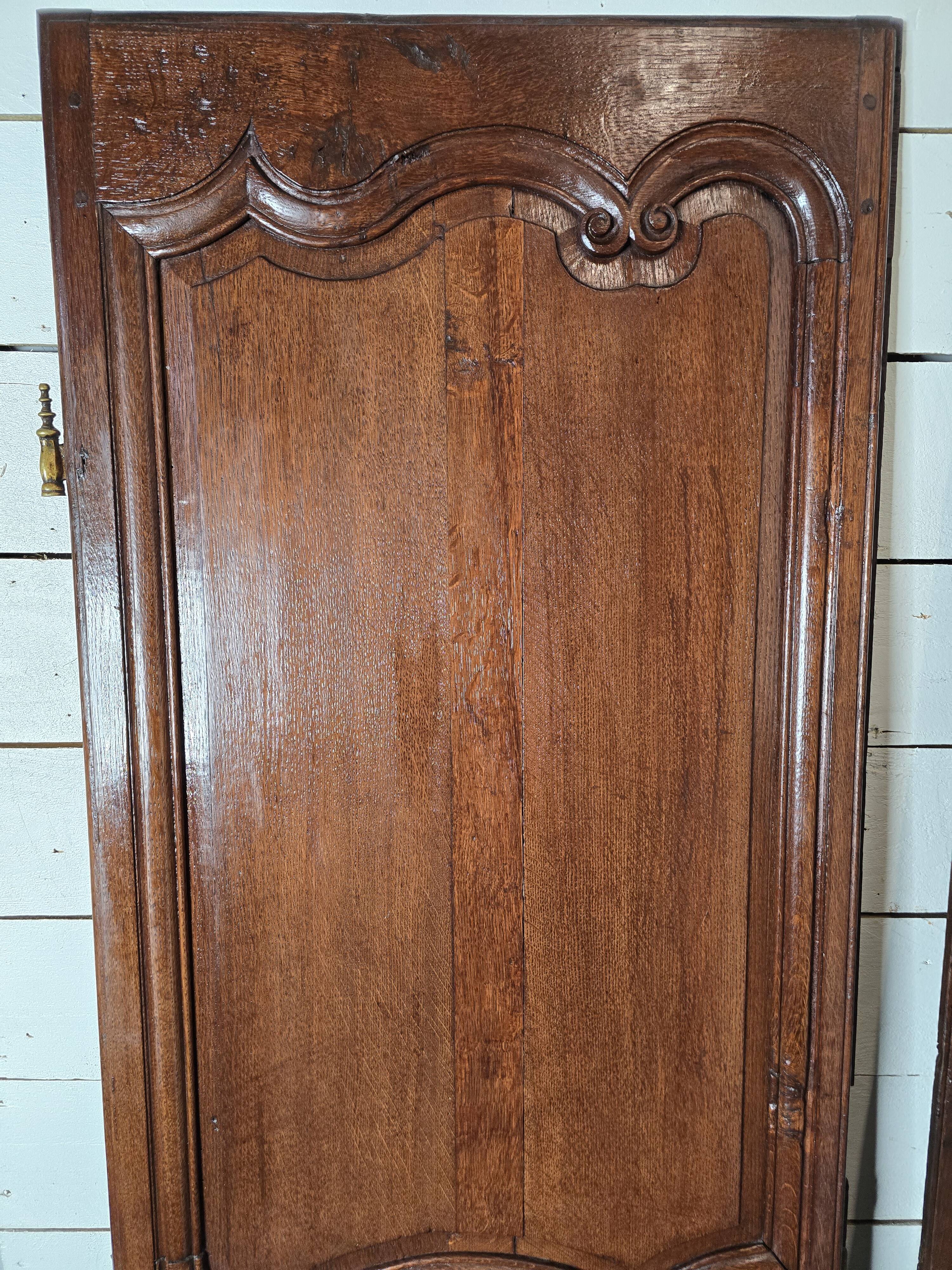 Pair of 19th century oak doors