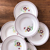 8 plates Salins model Janine