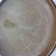 Lot of 10 Plates of Brenne Sandstone