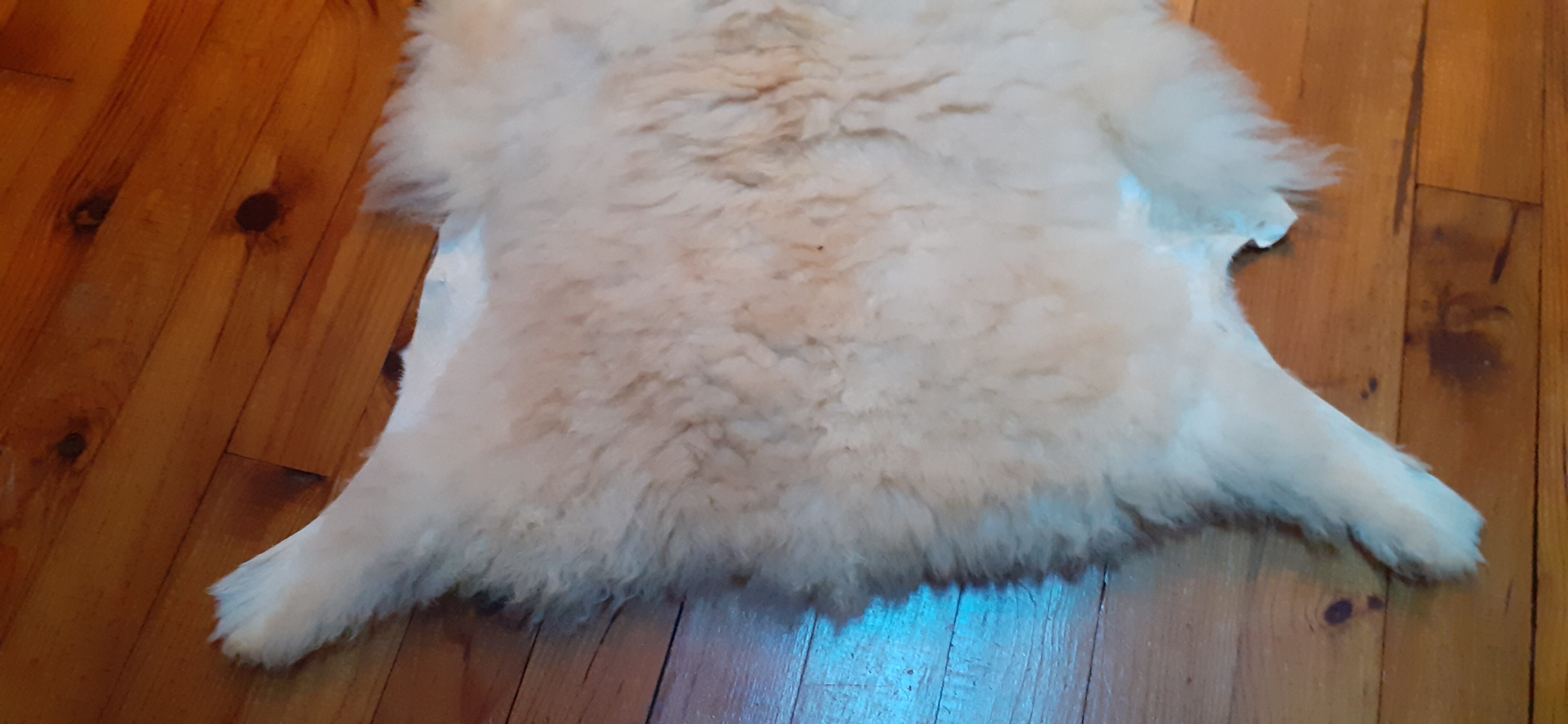 New sheepskin