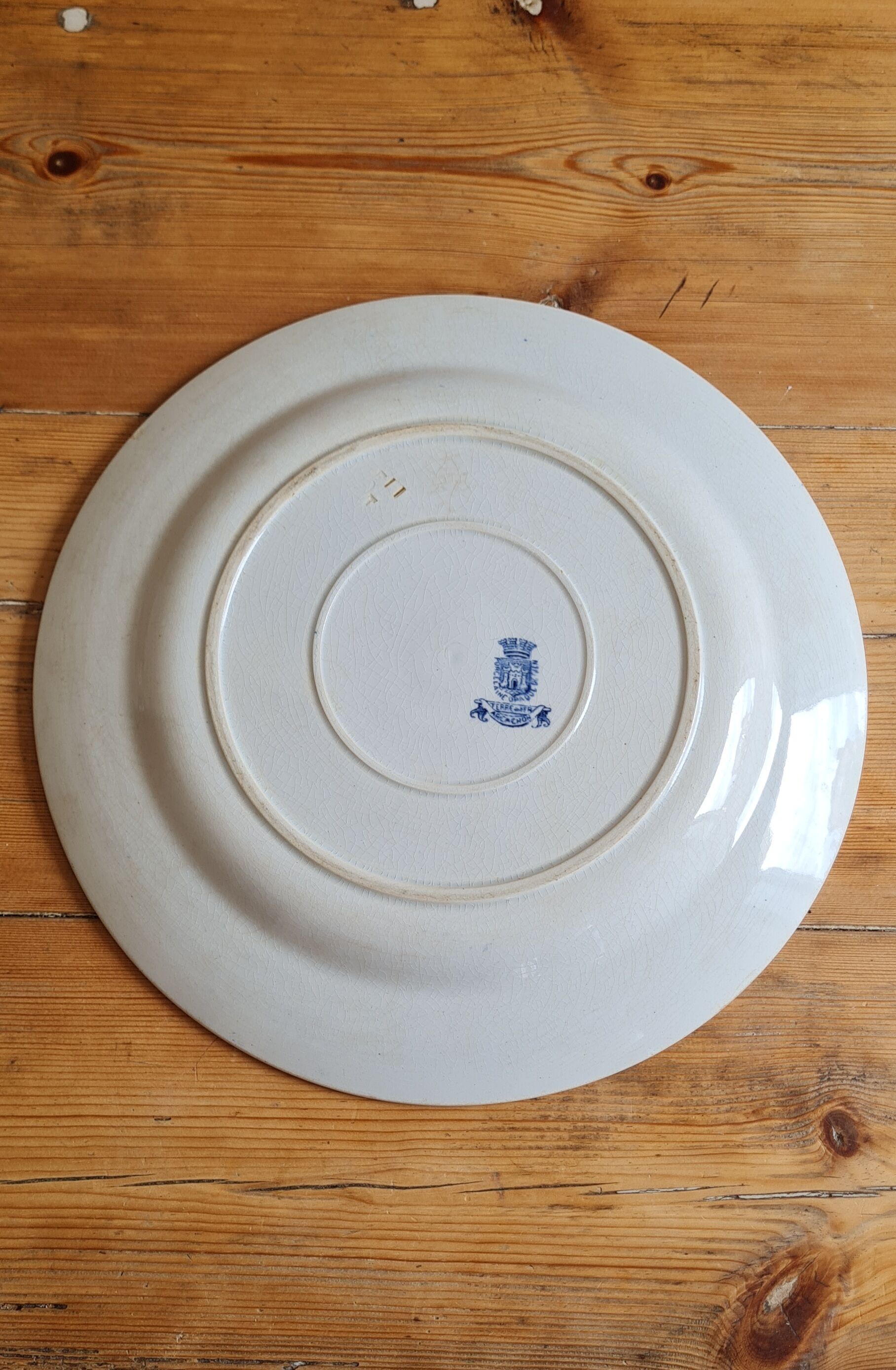 Serving dish in iron earth