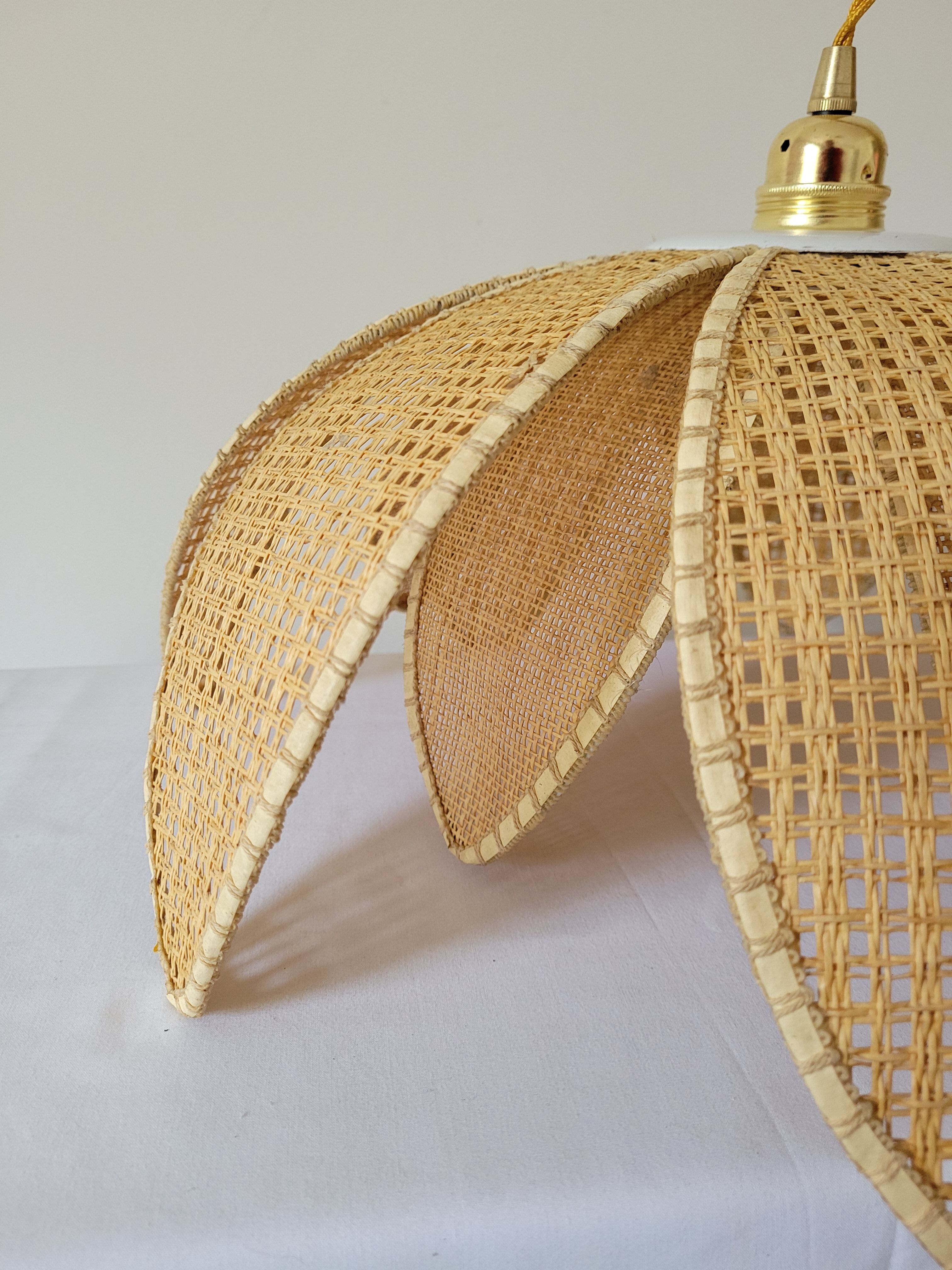 Rattan palm suspension and canning