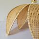 Rattan palm suspension and canning