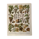 Lithograph on the diseases of the vine of 1907