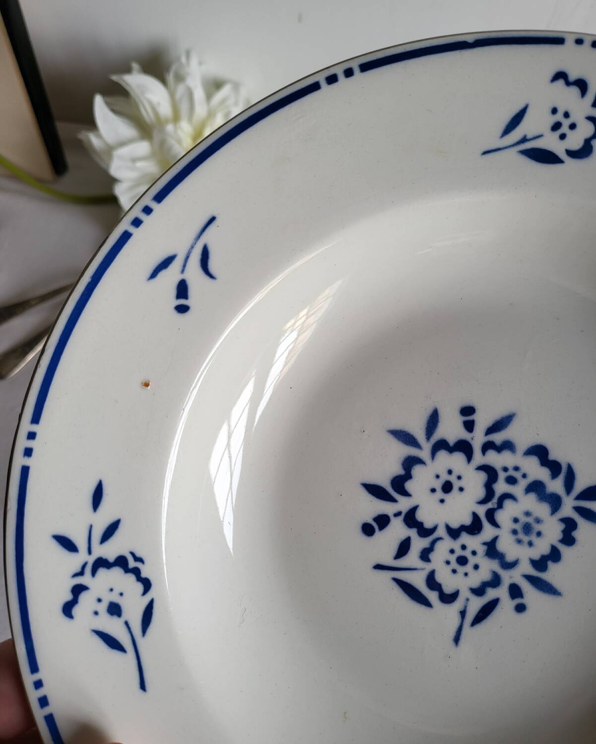 4 Deep Plates in earthenware Moulin des Loups & Hamage model Lucien