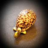 Bronze turtle and shell