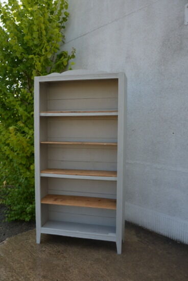 Parisian bookcase